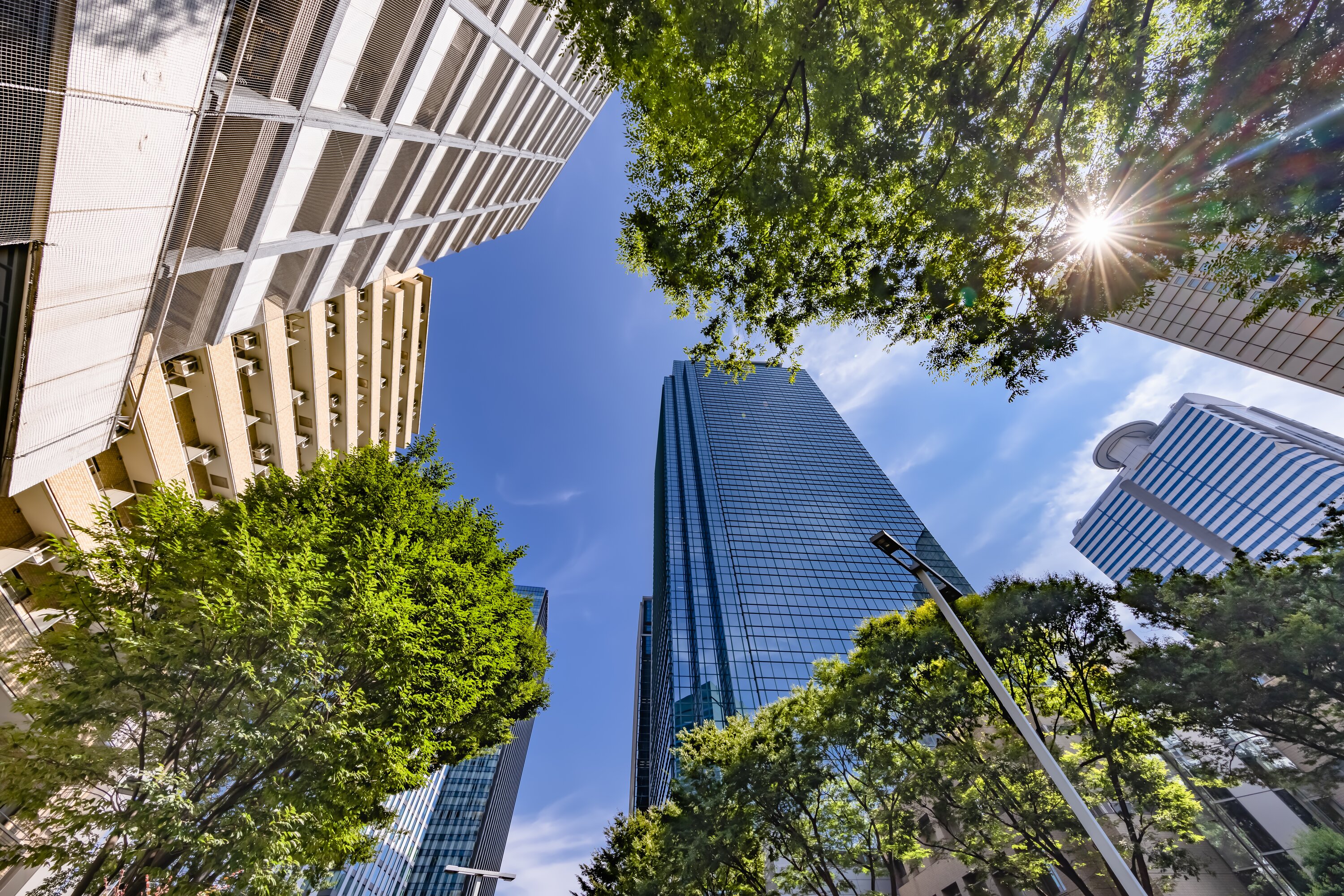 Building et environnement