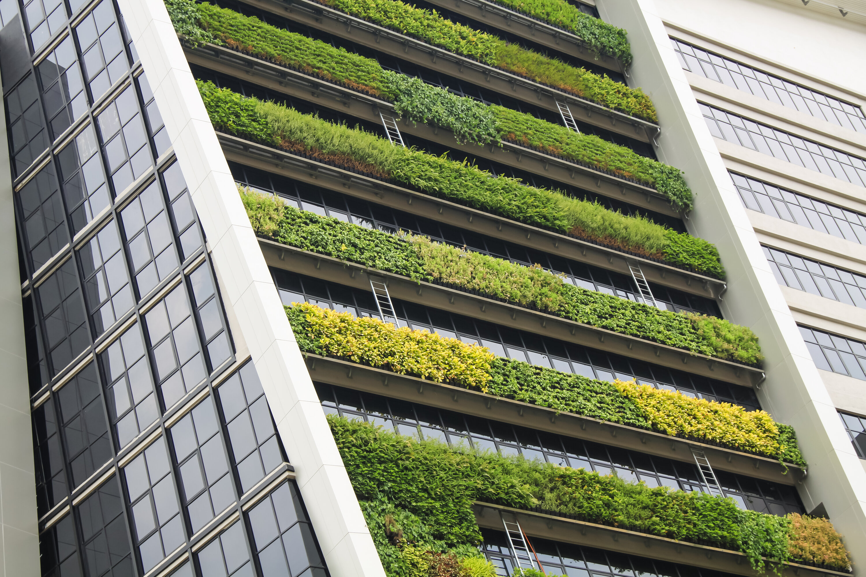 Building et environnement